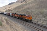 BNSF 6599